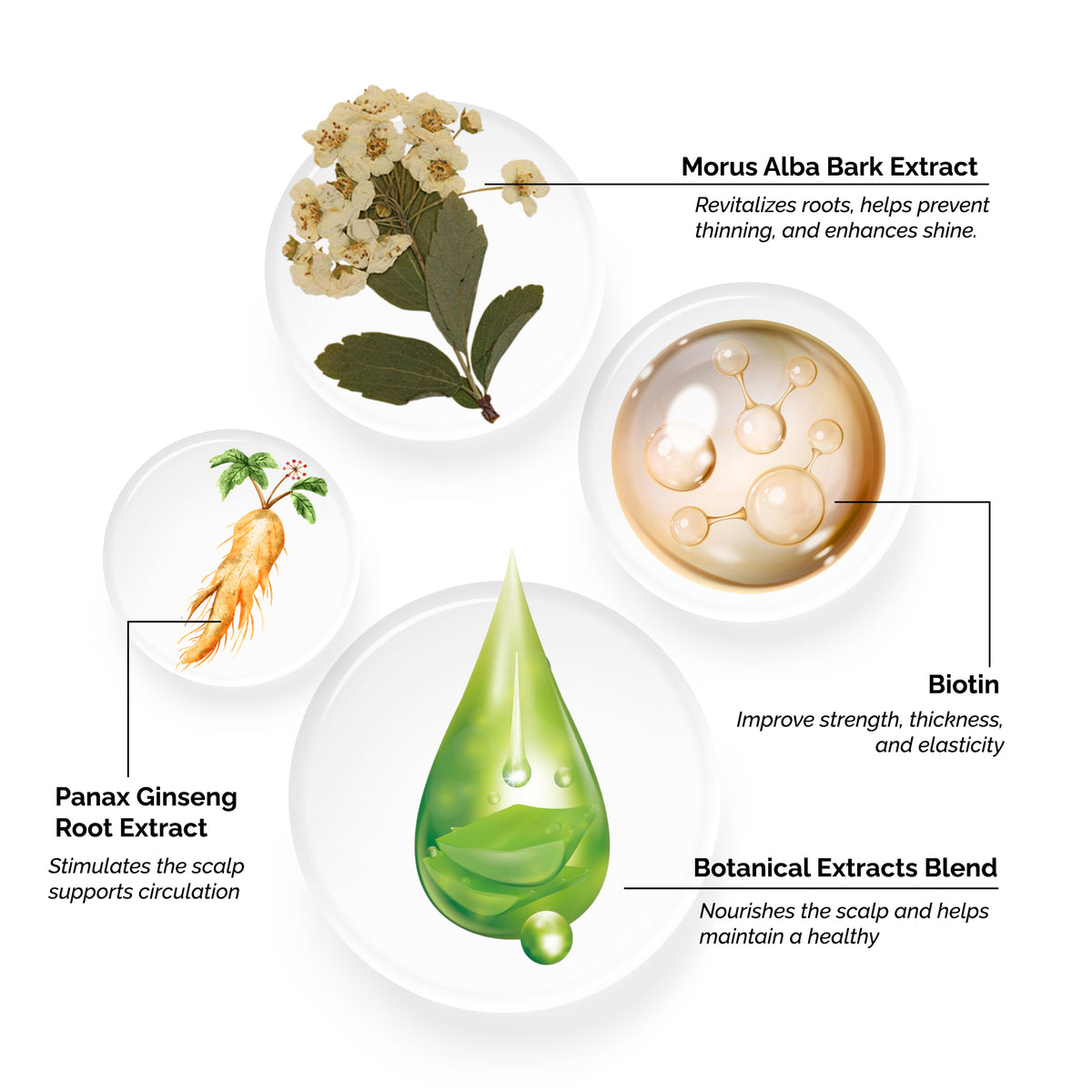 La Chevelure Anti Hair Loss Toner