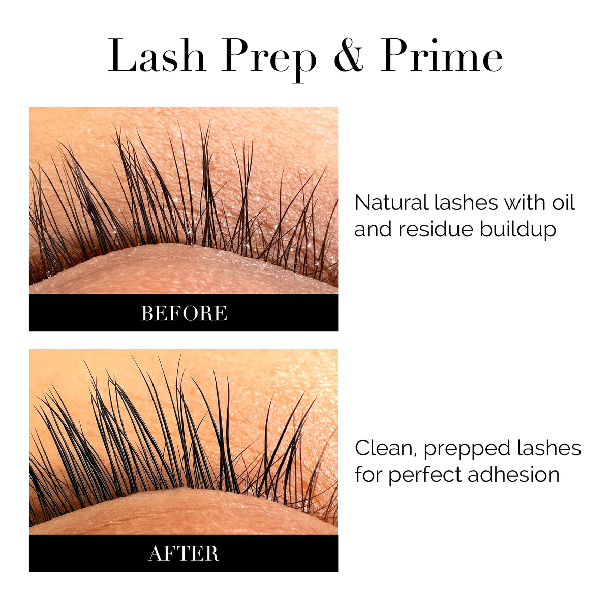 Dlux's Primer