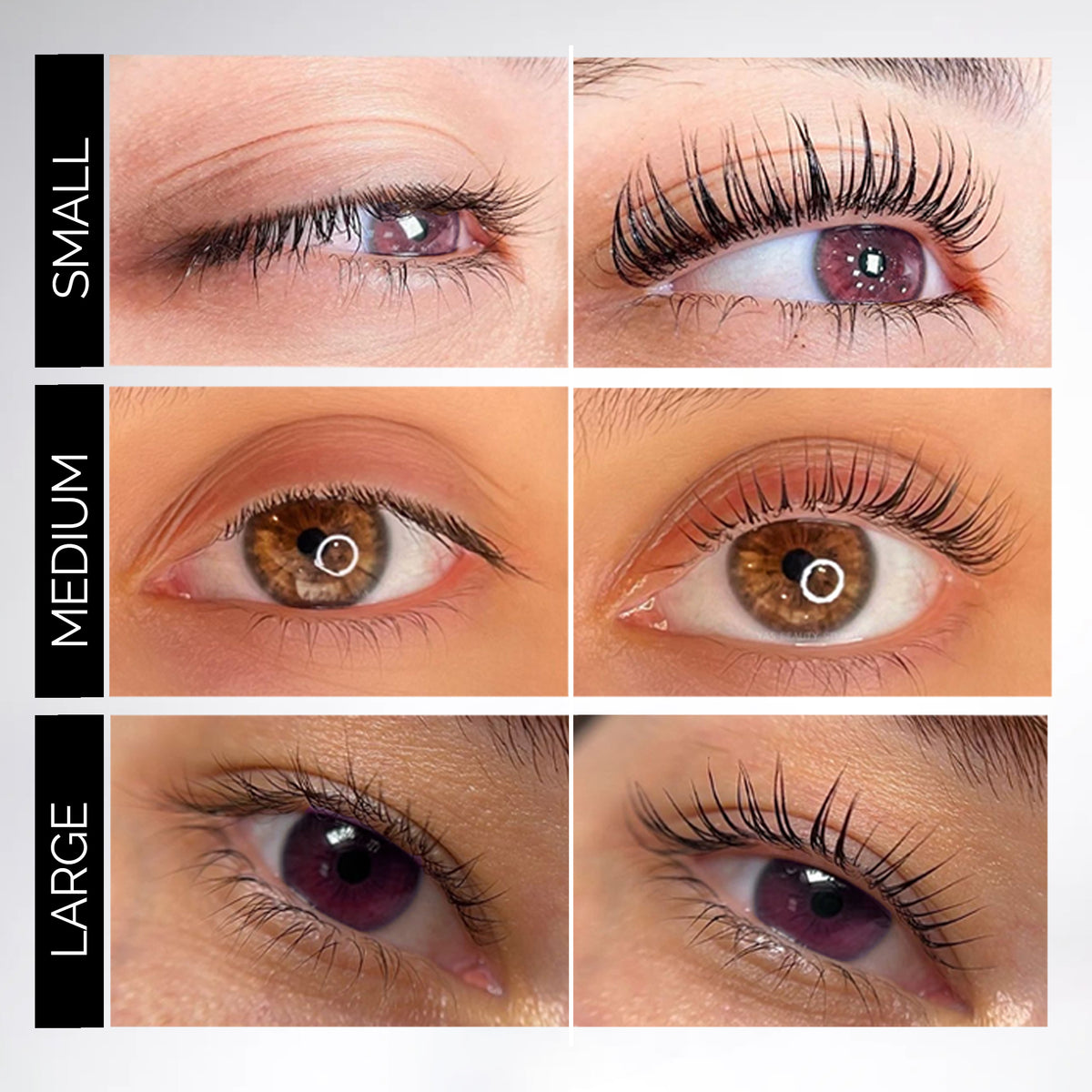 Transparent 8 Style Silicone Shields S,M,L (C,CC,D,DD,U,LW,M Curl Lash Lifting)