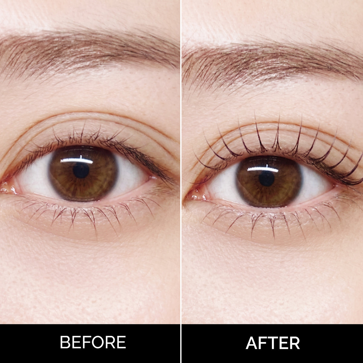 Korean Lash Lift Kit (Cysteamine + Thioglycolic Acid)