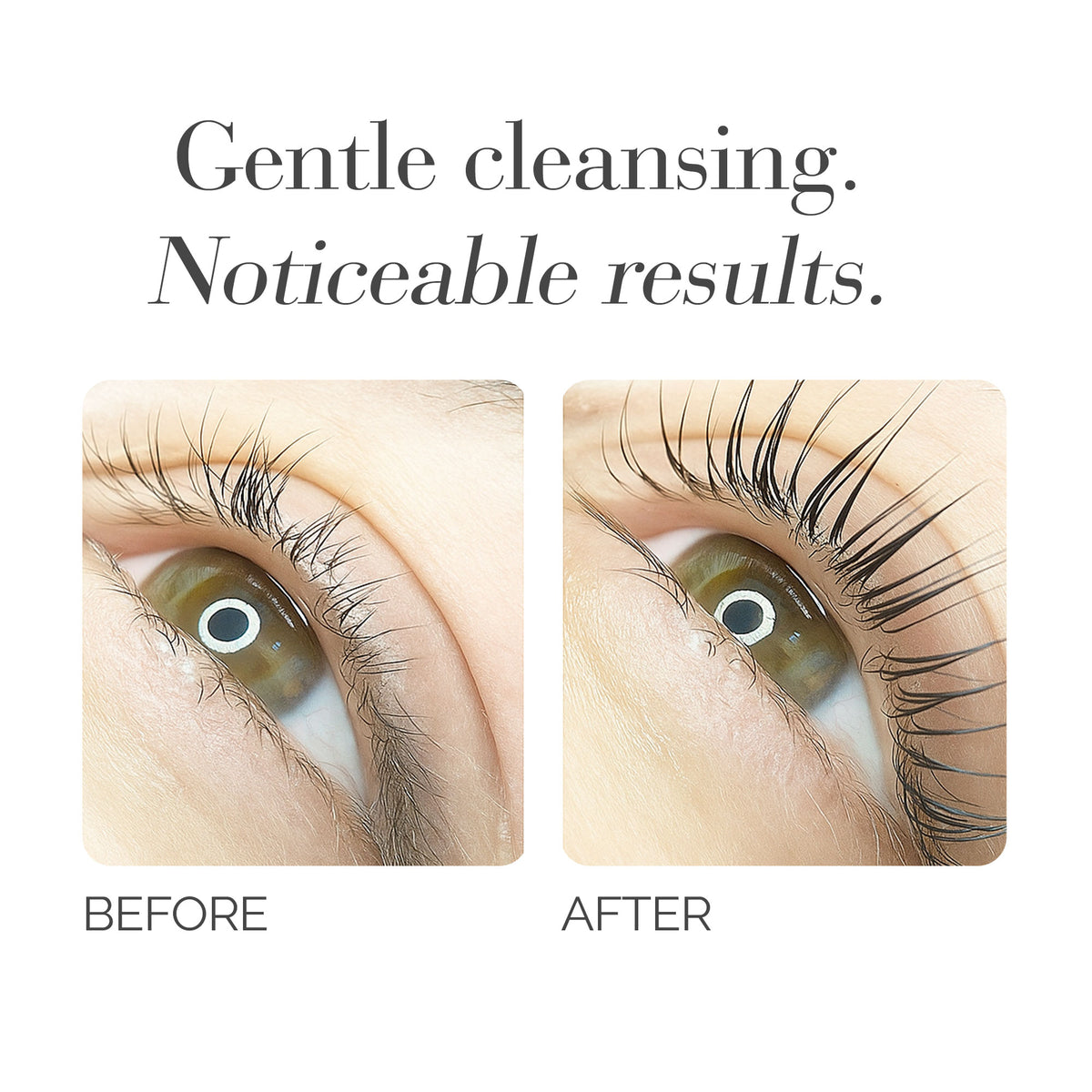 10 Packs for Pure Lash Cleanser Ph 6.5 (Sachet-Type)