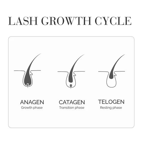 Lash Lengthening & Serum (Upgraded Formula