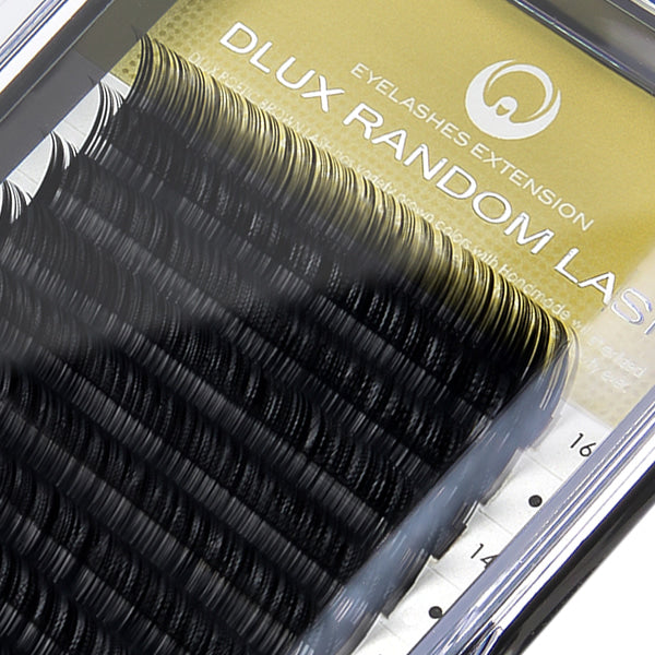 Random Lash