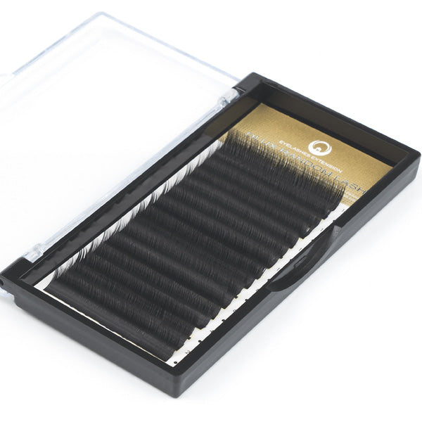 Random Lash