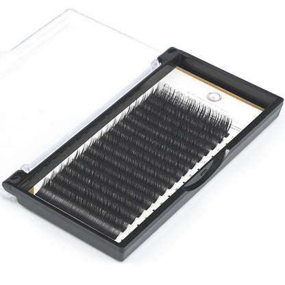 Natural Lash