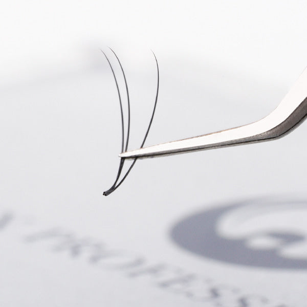 Express Volume Fan Lash