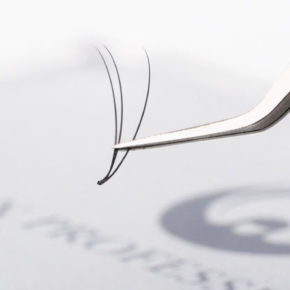 Express Volume Fan Lash