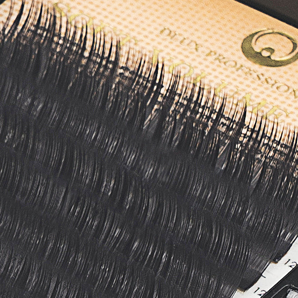 Soft Volume Lash