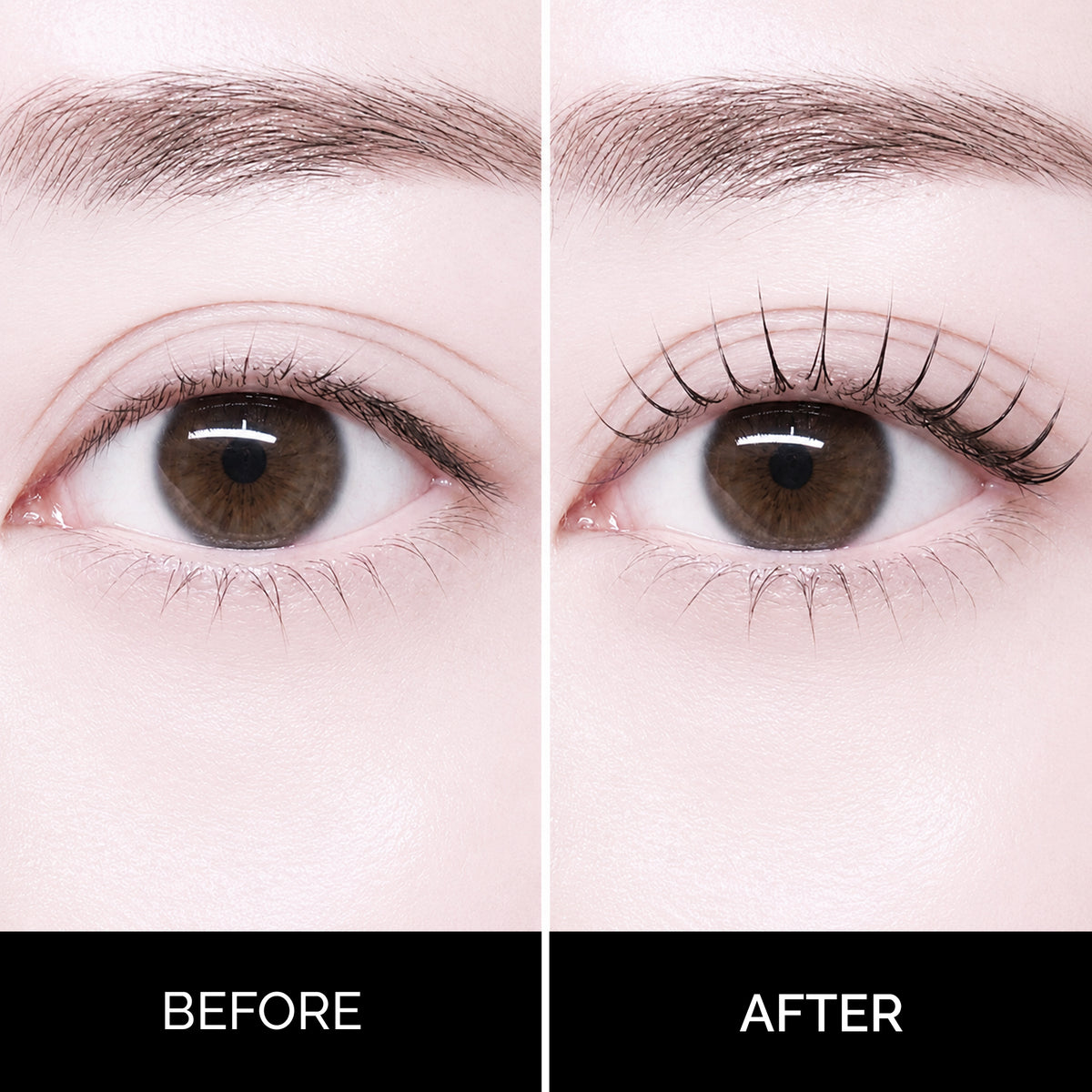 Korean Rapid No. 5 Lash & Brow Kit