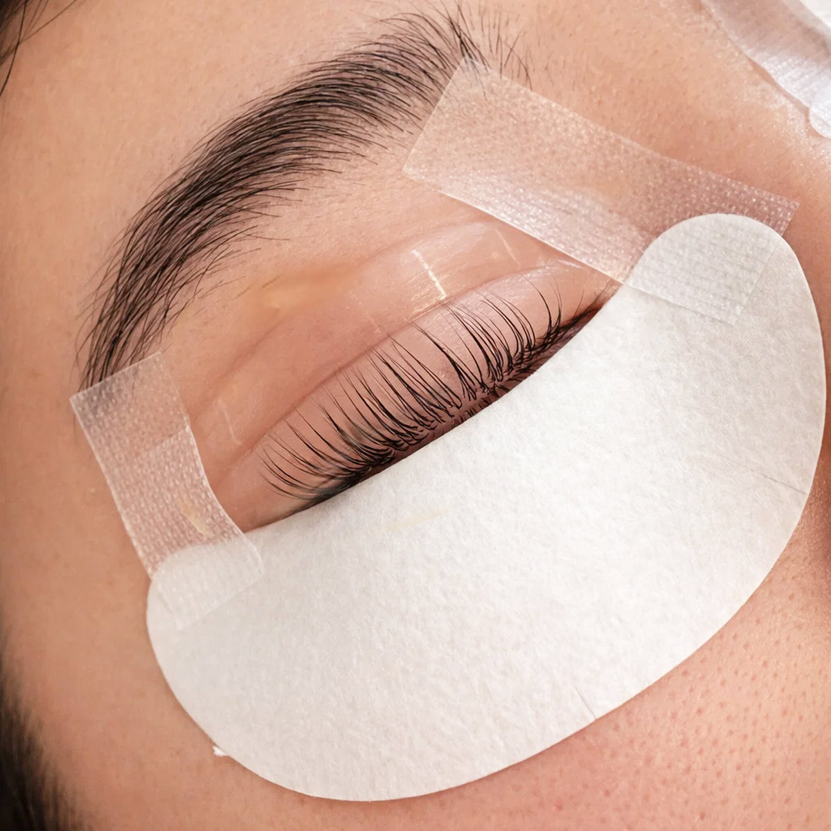 Fin Shields (C-Curl Lash Lifting)