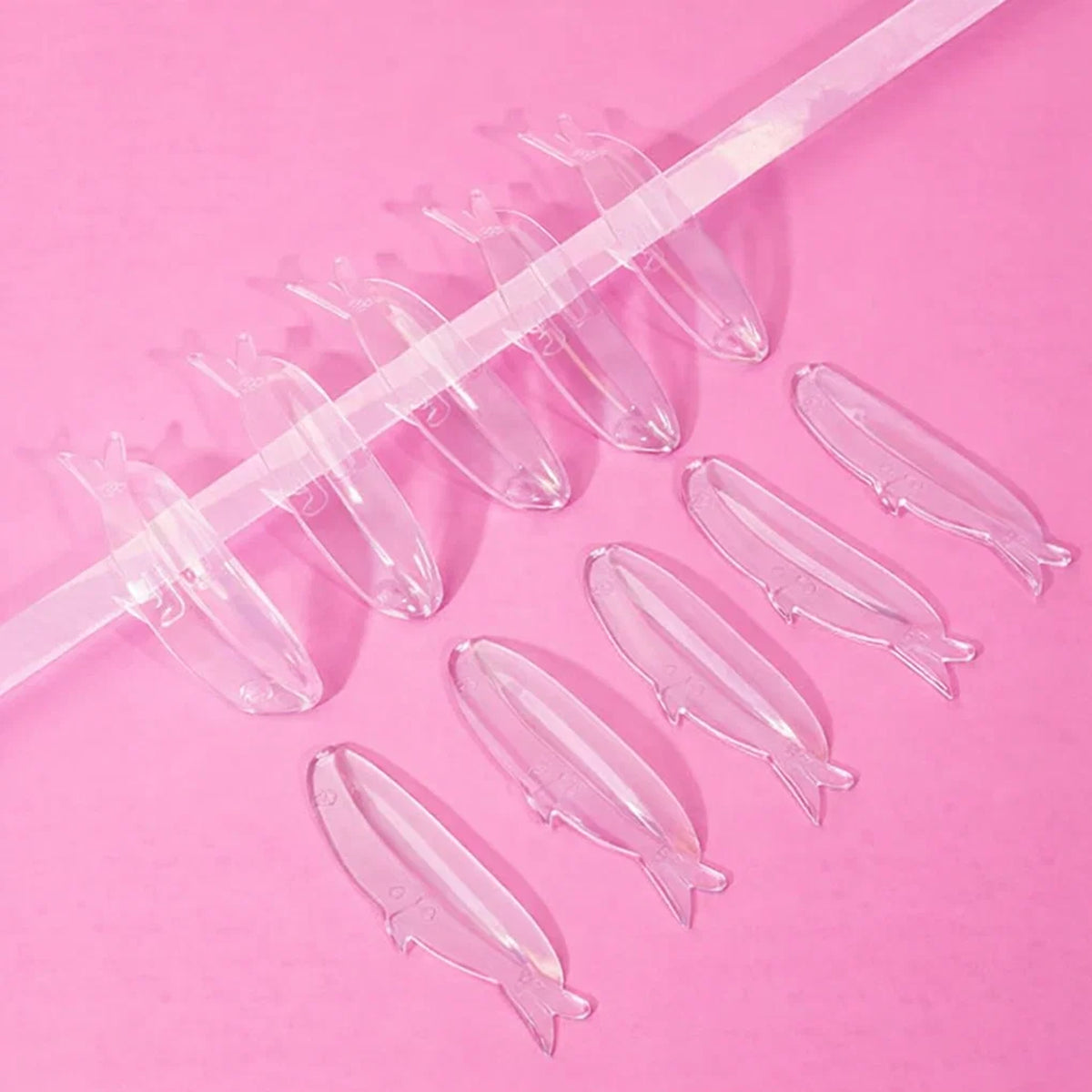 Fin Shields (C-Curl Lash Lifting)