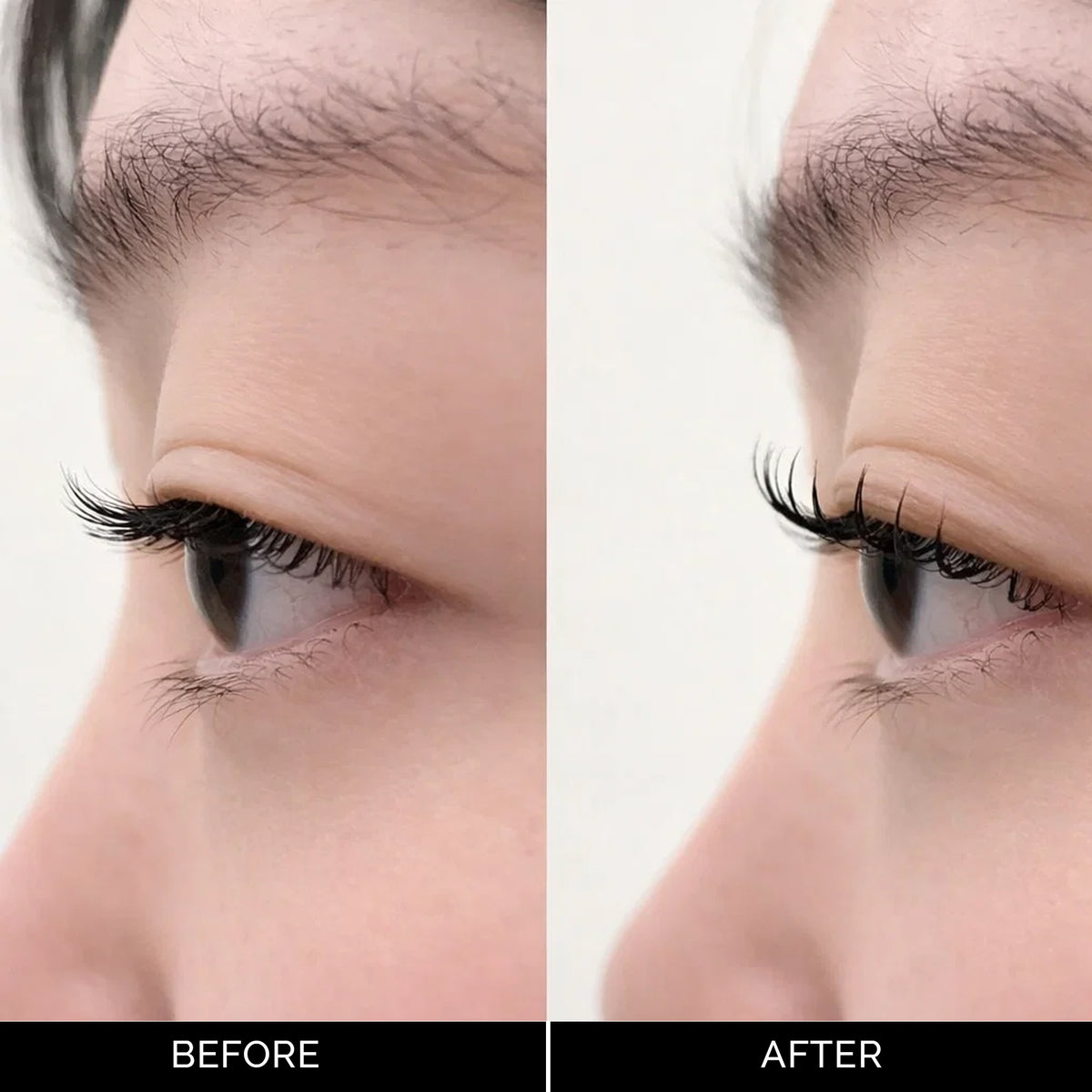 Bloom Crown Shields (C-Curl Lash Lifting)
