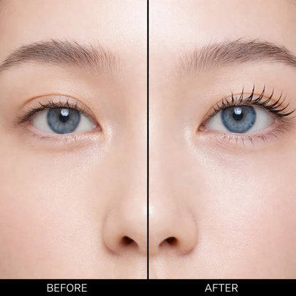 Dlux Lace Shields (C-Curl Lash Lifting)